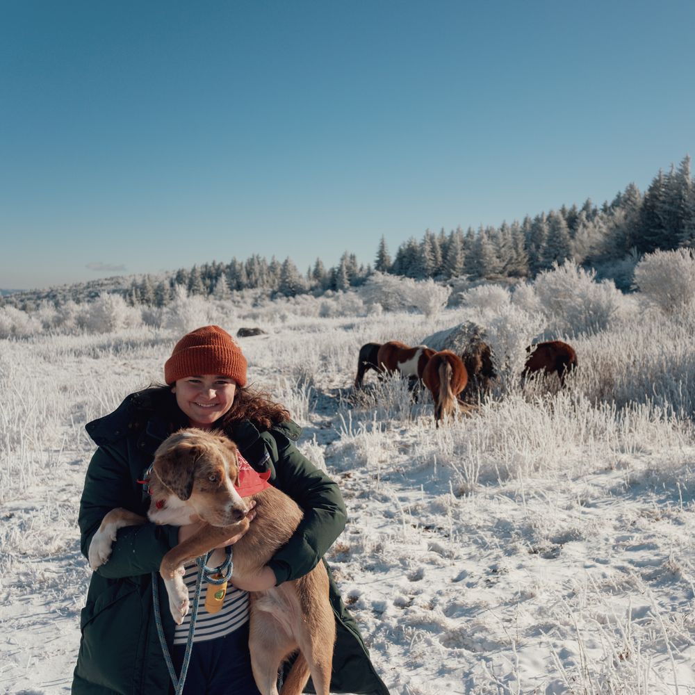 A snowy day out with one of our rescue dogs
